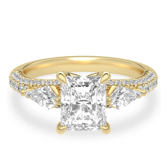 HN Elaine Ring