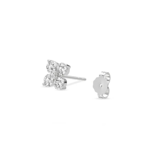 HN Cardamine Studs
